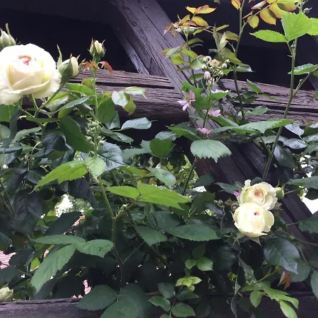 ベッド・アンド・ブレックファスト Le 3*