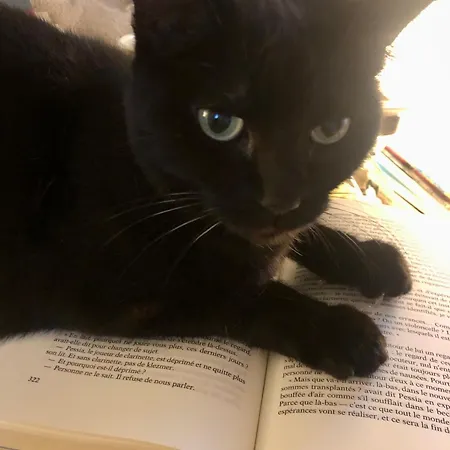 Le ベッド・アンド・ブレックファスト