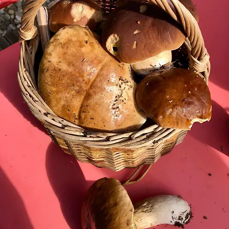 ベッド・アンド・ブレックファスト Le