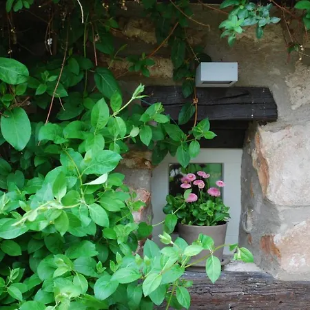 ベッド・アンド・ブレックファスト Le